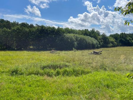 Springtorpsvägen, Landfjärden - Foto 4