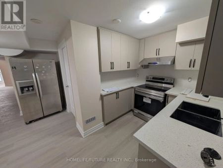 41 BLACK WALNUT DRIVE - Photo 4