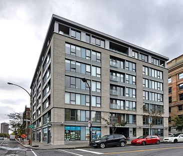 Condo for rent, Montréal (Ville-Marie) - Photo 5