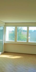3.5 Zimmer, 70 m², 11. Stock - Photo 4