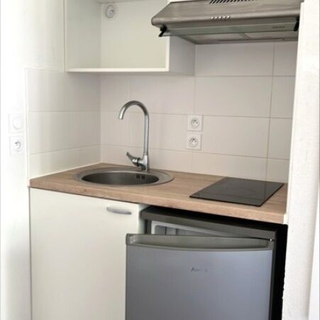 Location Appartement 1 pièce 19m² AUZEVILLE TOLOSANE 31320 - Photo 1
