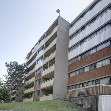 The Laurentian - Photo 4