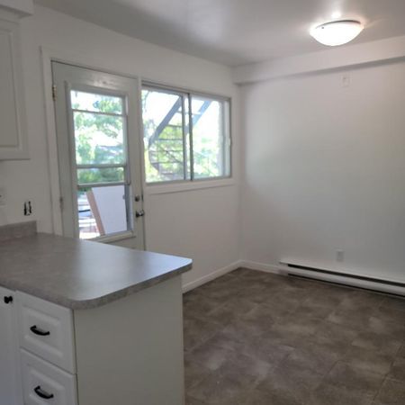 Superbe 4 ½ très lumineux et fraîchement rénové à Longueuil – Disponible immédiatement ! - Photo 4
