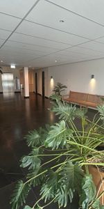 Te huur: Appartement Molenstraat in Enschede - Photo 4