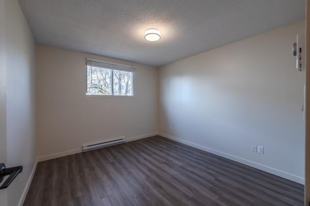 1 Bedroom - Renovated - Photo 1