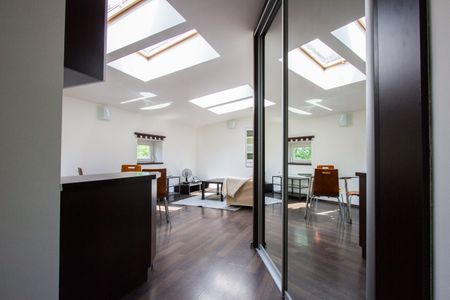 bujwida - Zdjęcie 3