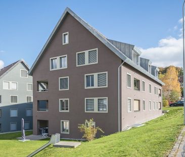 Your new home? Attractive and modern penthouse apartment in Bonstetten - Foto 2