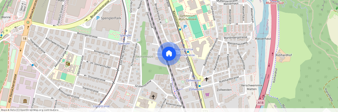 Birseckstrasse 50, 4142 Münchenstein