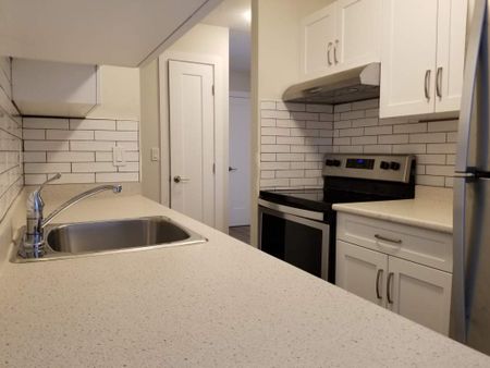 1 Bedroom - Photo 4