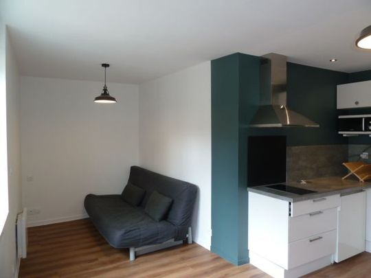 ANGERS HYPER CENTRE T1BIS meublé - A louer Angers ... - Photo 1