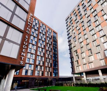 Gold Studio - Photo 2