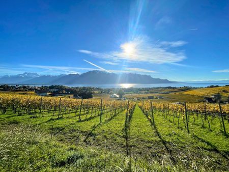 Magnificent 7-room detached villa on 3 levels - Magnificent 7-room detached villa on 3 levels. - Photo 5