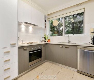 Elwood - Photo 2