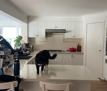 Castle Hill - Photo 4