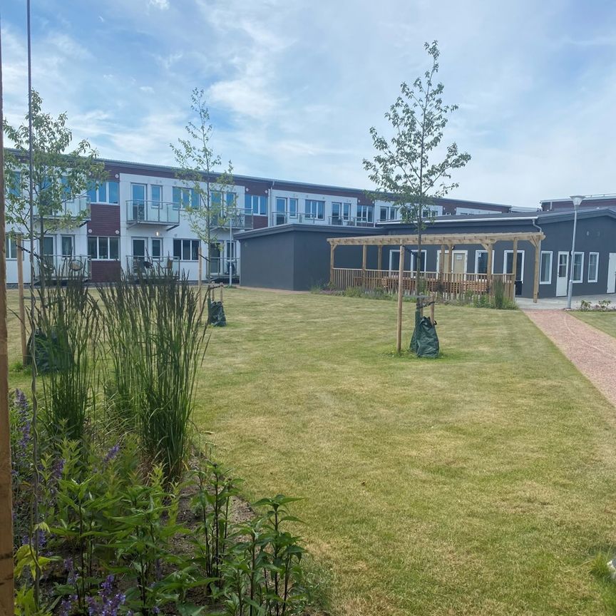 Panelgatan 42, Kristineberg - Foto 1