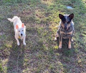 Rapid Creek - Photo 6