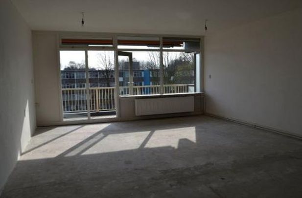 Spinaker 1034 MD Amsterdam - Photo 1