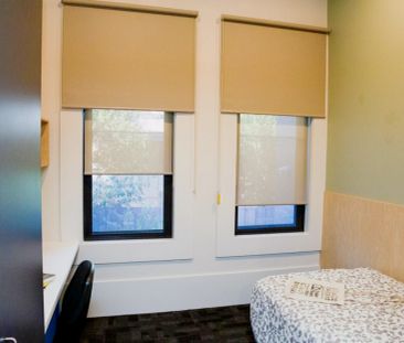 Standard Studio - Photo 4