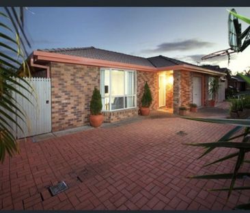 Manly West - Photo 4