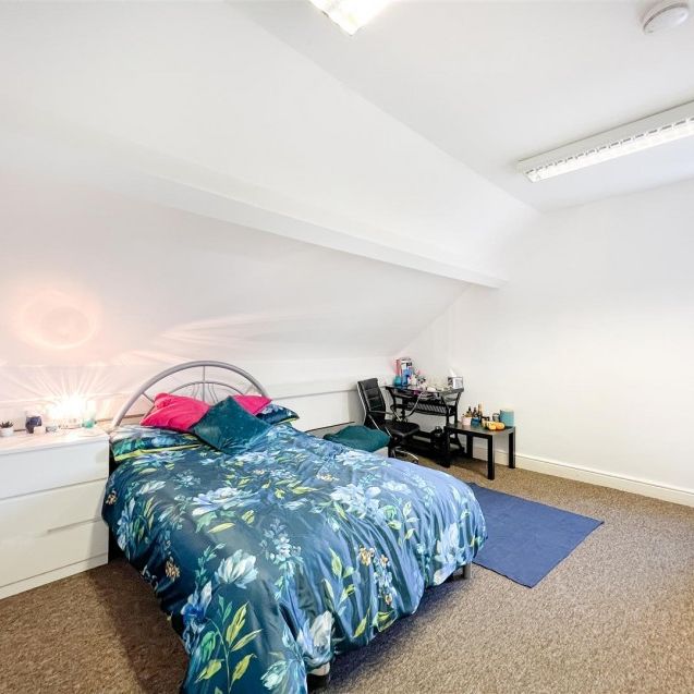 Flat 3, 53 Clarkegrove RoadBroomhillSheffield - Photo 1