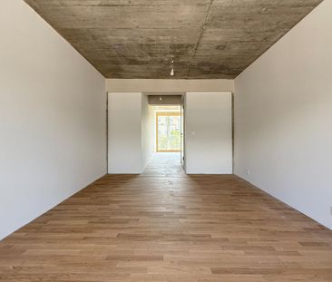 CoDeck: Wohnen im angesagten Hafen-Quartier (Mietvertrag Plus) - Foto 2