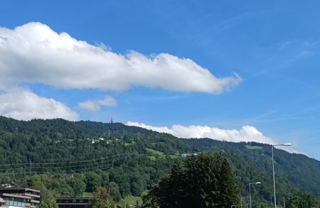 Wohnen direkt am Bodensee Sehr schöne 2-Zimmer-Wohnung in Lochau - Photo 3