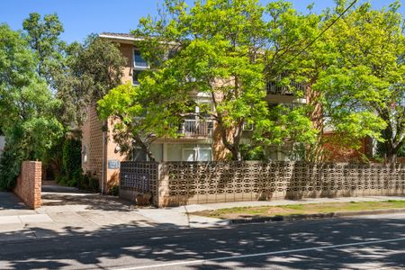 8/97-99 Kooyong Road, Armadale VIC 3143 - Apartment For Rent | Domain - Photo 4