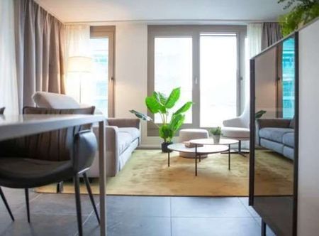 Fully furnished apartments in Paradiso - Photo 4