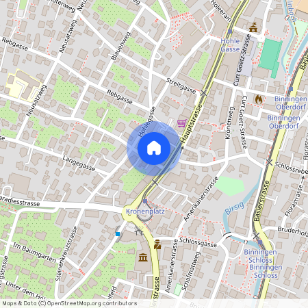 Rottmannsbodenstrasse 4, 4102 Binningen