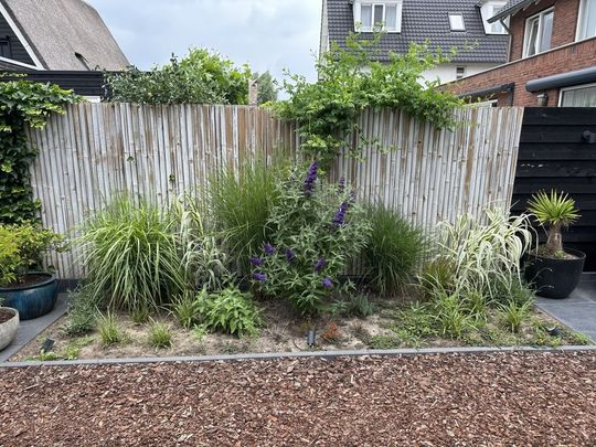 Te huur: Huis Valse IJsboutpad in Hoef en Haag - Foto 1