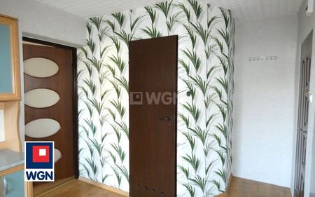 Mieszkanie na wynajem Ostrów Wielkopolski - Kawalerka do wynajęcia - Фото 3