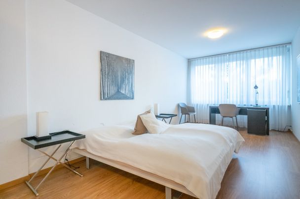 Willkommen in der Mittleren Strasse 142 in Basel! - Foto 1