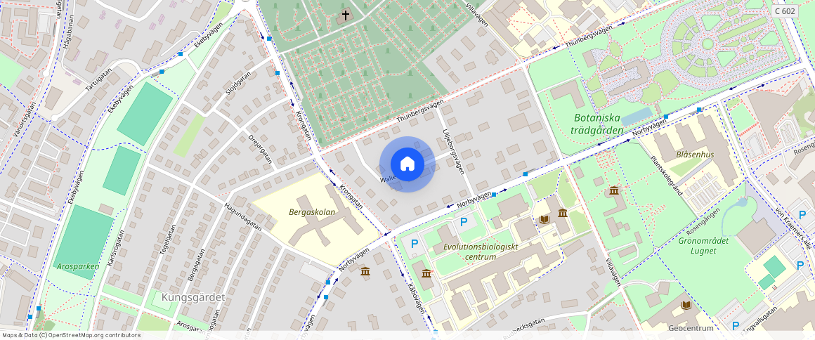 Walleriusvägen, Uppsala