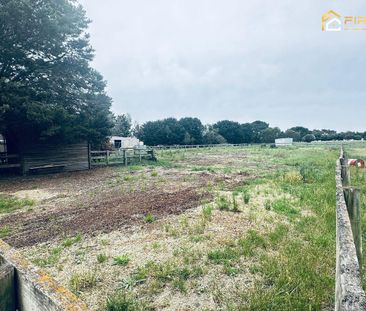 Exceptional 5.2-Acre Lifestyle & Equestrian Property in Lovely Banks - Photo 6