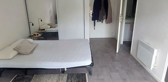 Location Appartement 1 pièce 24m² BLAGNAC 31700 - Photo 2