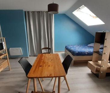 Location Appartement 1 pièce Meublé 30m² DAMMARTIN EN GOELE 77230 - Photo 3