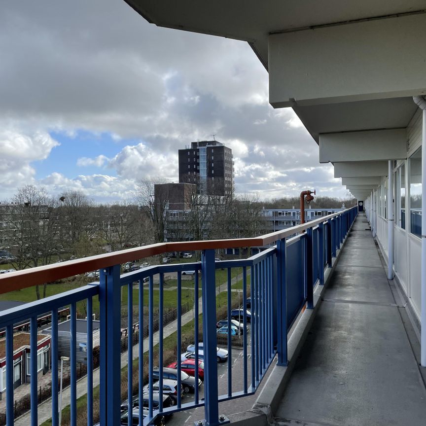 Koekoekstraat - Photo 1