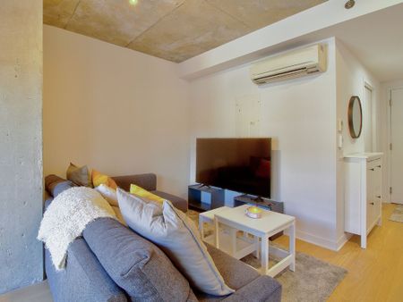 1406 Rue Ste Élisabeth, Montréal (Ville-Marie), QC H2X - Photo 2