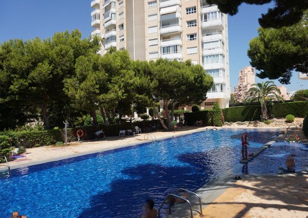 Apartment in Benidorm, for rent