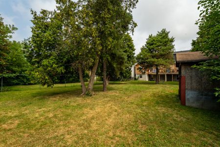 For Lease - 164-168 Picton Street Unit# 1, Hamilton, Ontario - Photo 5