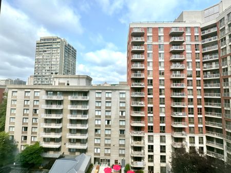 1055 Rue St Mathieu Montréal (Ville-Marie), QC H3H - Photo 3