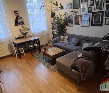 Gemütliche Erdgeschoßwohnung sucht langfristige/n Mieter/In- - Photo 3