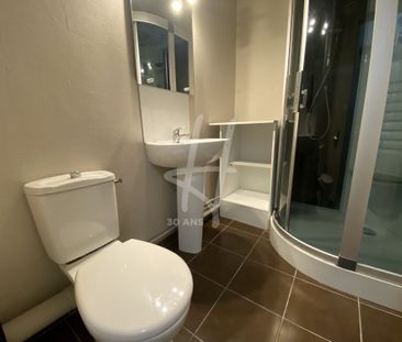 Location Appartement 1 pièce 25m² MONTIGNY LES METZ 57950 - Photo 3