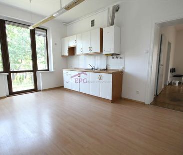 Katowice, Koszutka, Korfantego Mieszkanie na wynajem - Zdjęcie 1