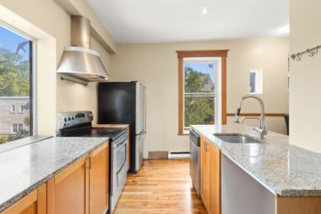 Appartement à louer, Montréal (Le Plateau-Mont-Royal) - Photo 4