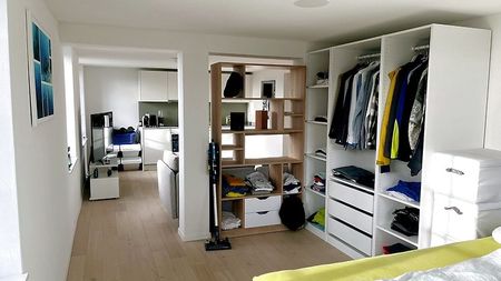 1½ Zimmer-Wohnung in Mettmenstetten (ZH), möbliert, auf Zeit - Photo 2