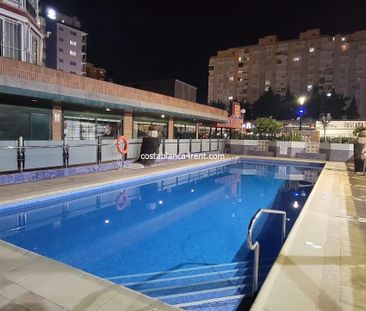 Winter Holiday , center Benidorm - Photo 3