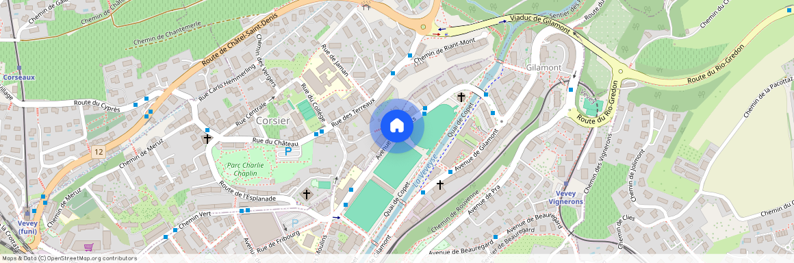 Avenue des Crosets, 1800 Vevey