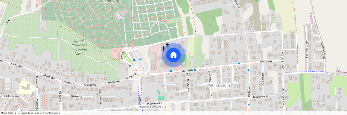 ul. Bałtycka, Wilkowyja, Rzeszów, podkarpackie