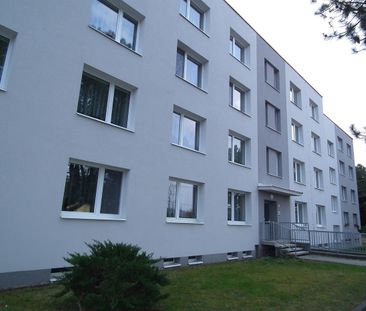 Pronájem bytu 3+1 78 m² - Photo 6